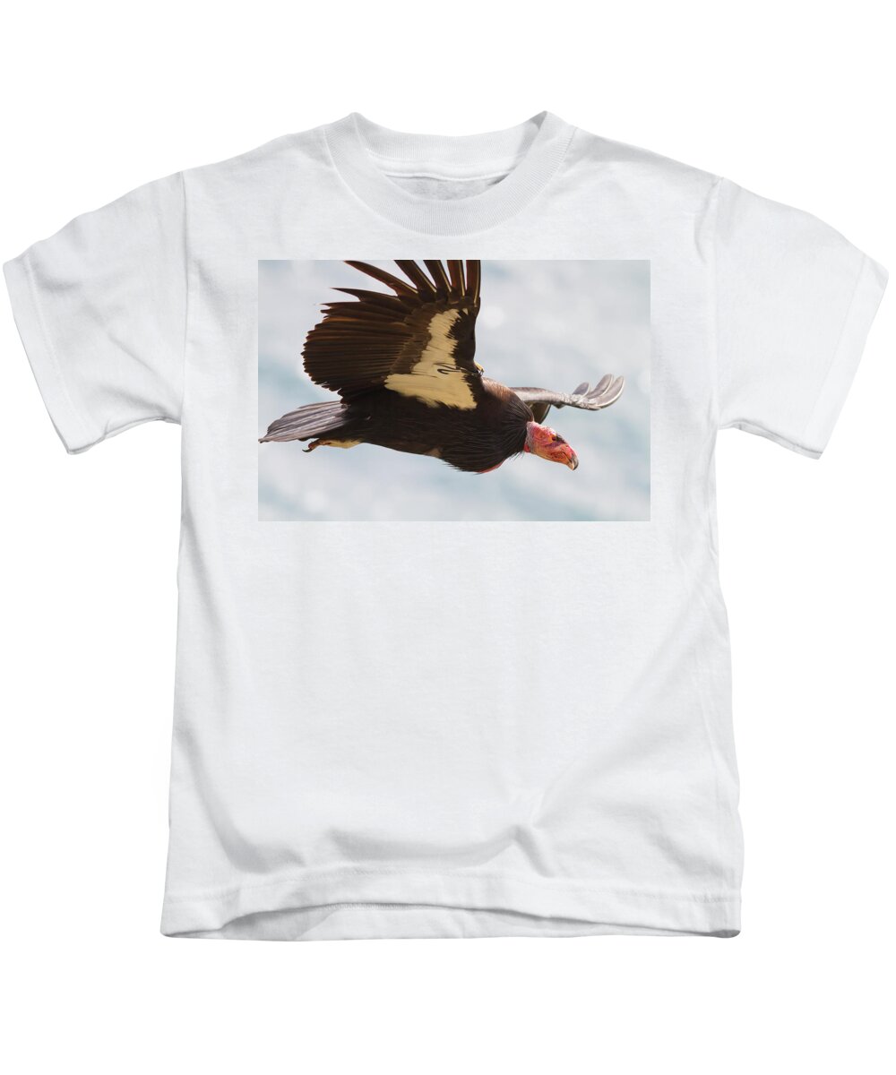 Condor Kids T-Shirt featuring the photograph California Condor at Big Sur by Mark Miller
