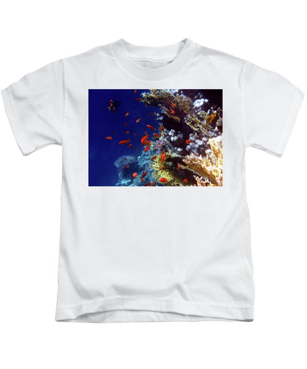 Sea Kids T-Shirt featuring the photograph Colorful Lyretail Anthias by Johanna Hurmerinta