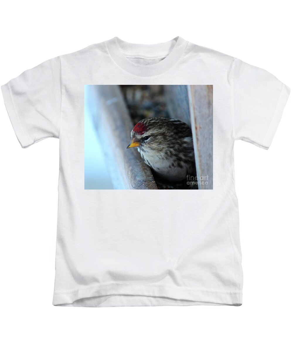 Redpoll Kids T-Shirt featuring the photograph Common Redpoll by Ann E Robson