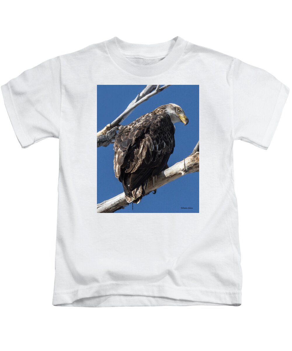 Bald Eagle Kids T-Shirt featuring the photograph Curious Bald Eagle by Stephen Johnson