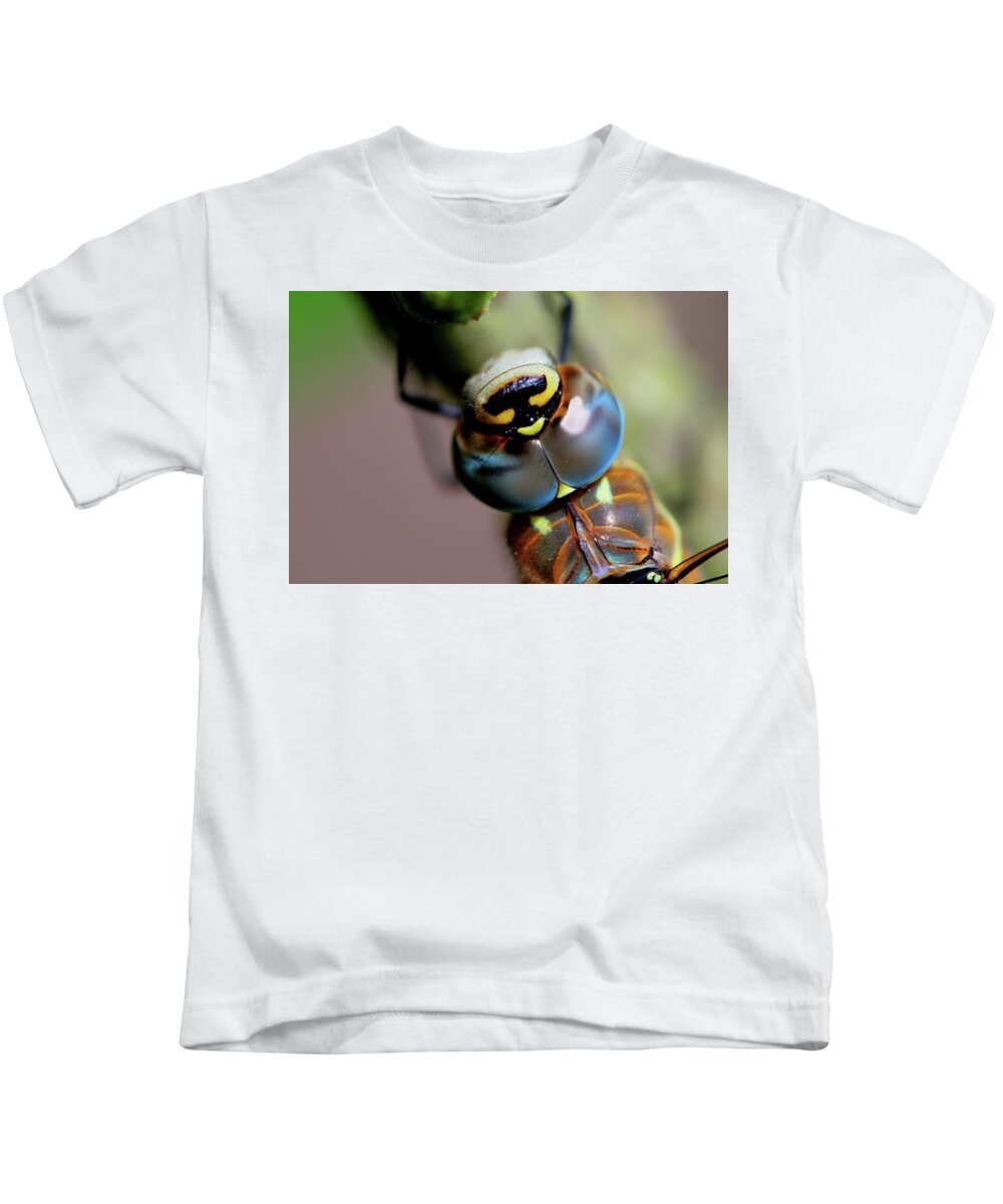 Dragonfly Insect Eye Kids T-Shirt featuring the photograph Dragonfly Eye by Ian Sanders