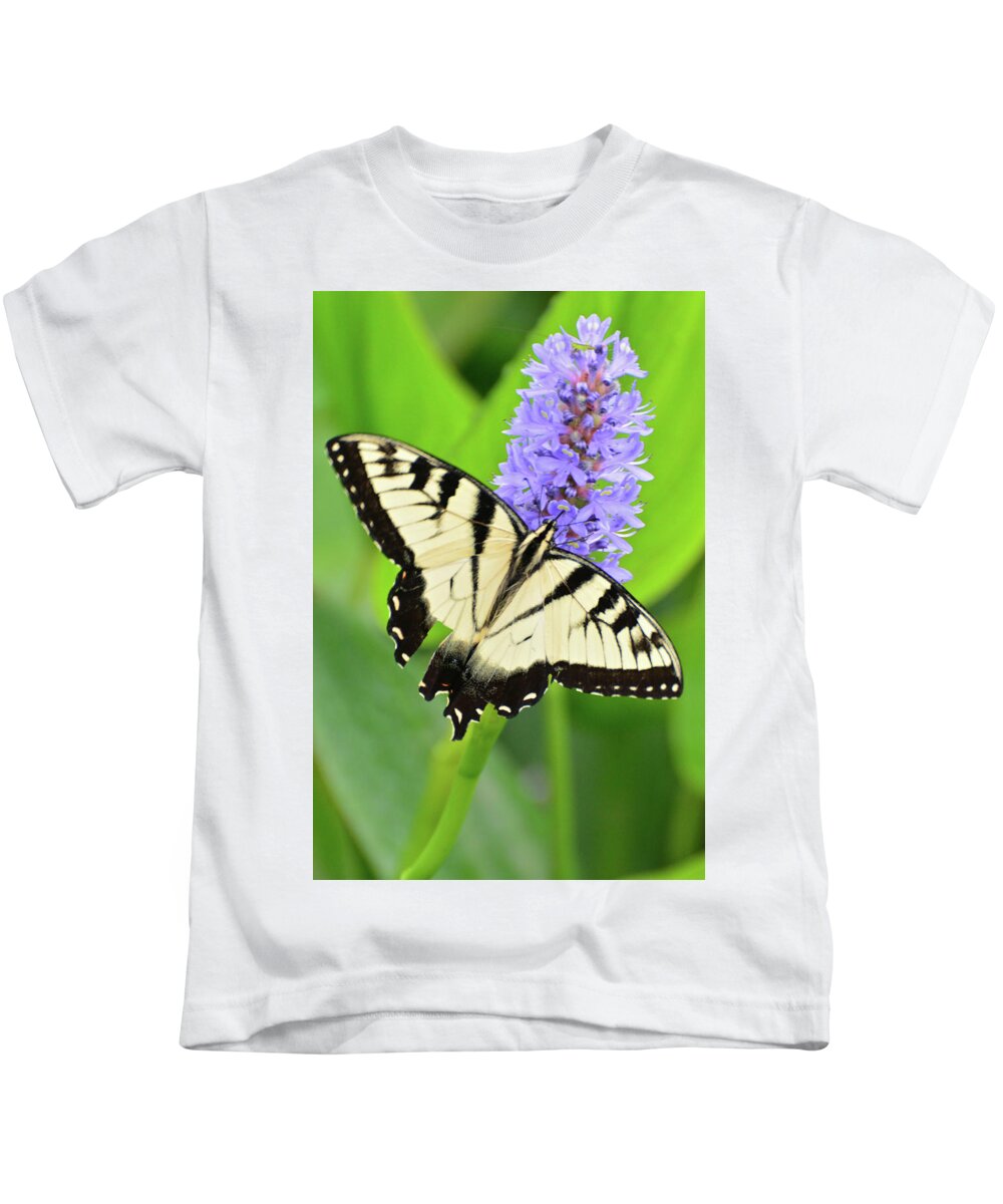 Eastern Tiger Swallowtail Kids T-Shirt featuring the photograph Eastern Tiger Swallowtail by Don Mercer