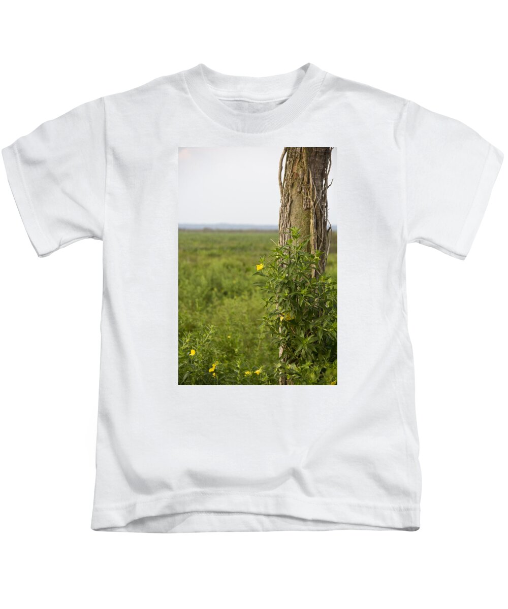 Tree Kids T-Shirt featuring the photograph Entrance by Nancy Dinsmore