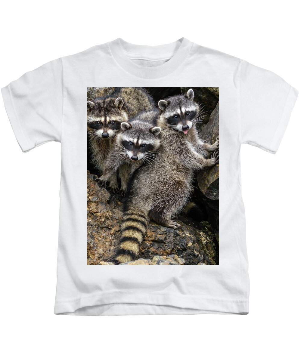 Raccon Kids T-Shirt featuring the photograph Family Portrait by Jerry Cahill