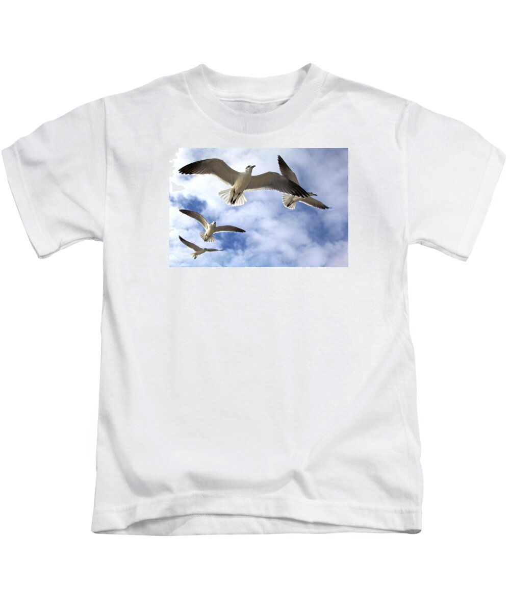 Gull Kids T-Shirt featuring the photograph Four Gulls by Robert Och