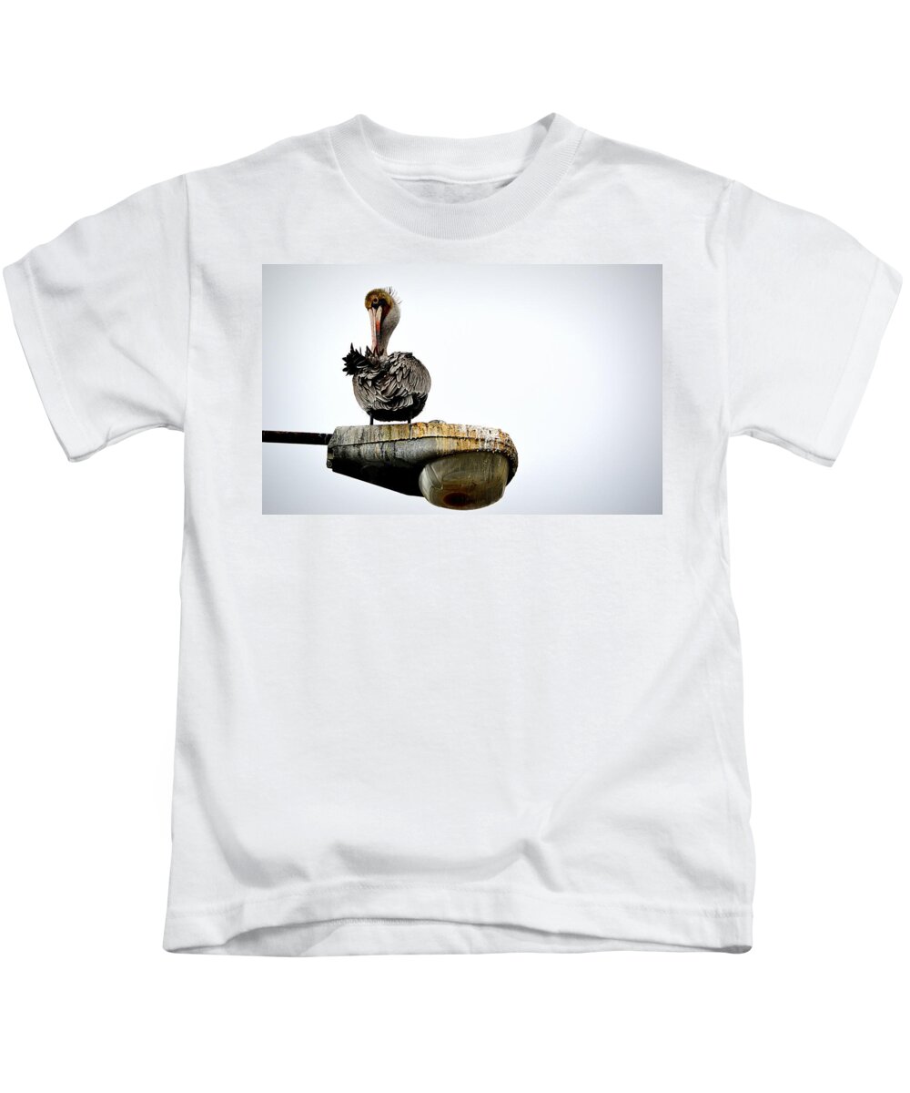 Birds Kids T-Shirt featuring the photograph Grooming Time by AJ Schibig