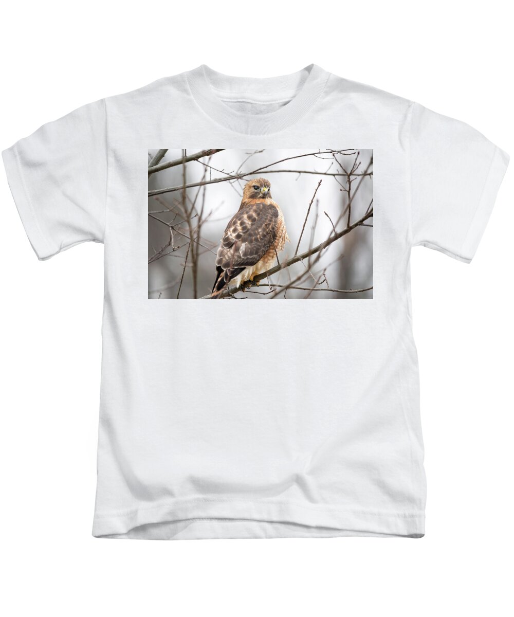 Ornithology Outside Outdoors Natural Wild Wildlife Nature Predator Boylston West W Westboylston Ma Mass Massachusetts Brian Hale Brianhalephoto Newengland New England Nicitating Membrane Blink Blinking Eye Eyelide Portrait Closeup Close Up Redtail Red-tail Red-shoulder Redshouldered Shouldered Red Tail Shoulder Hybrid Hawk Rare Kids T-Shirt featuring the photograph Hals Nicitating Membrane by Brian Hale