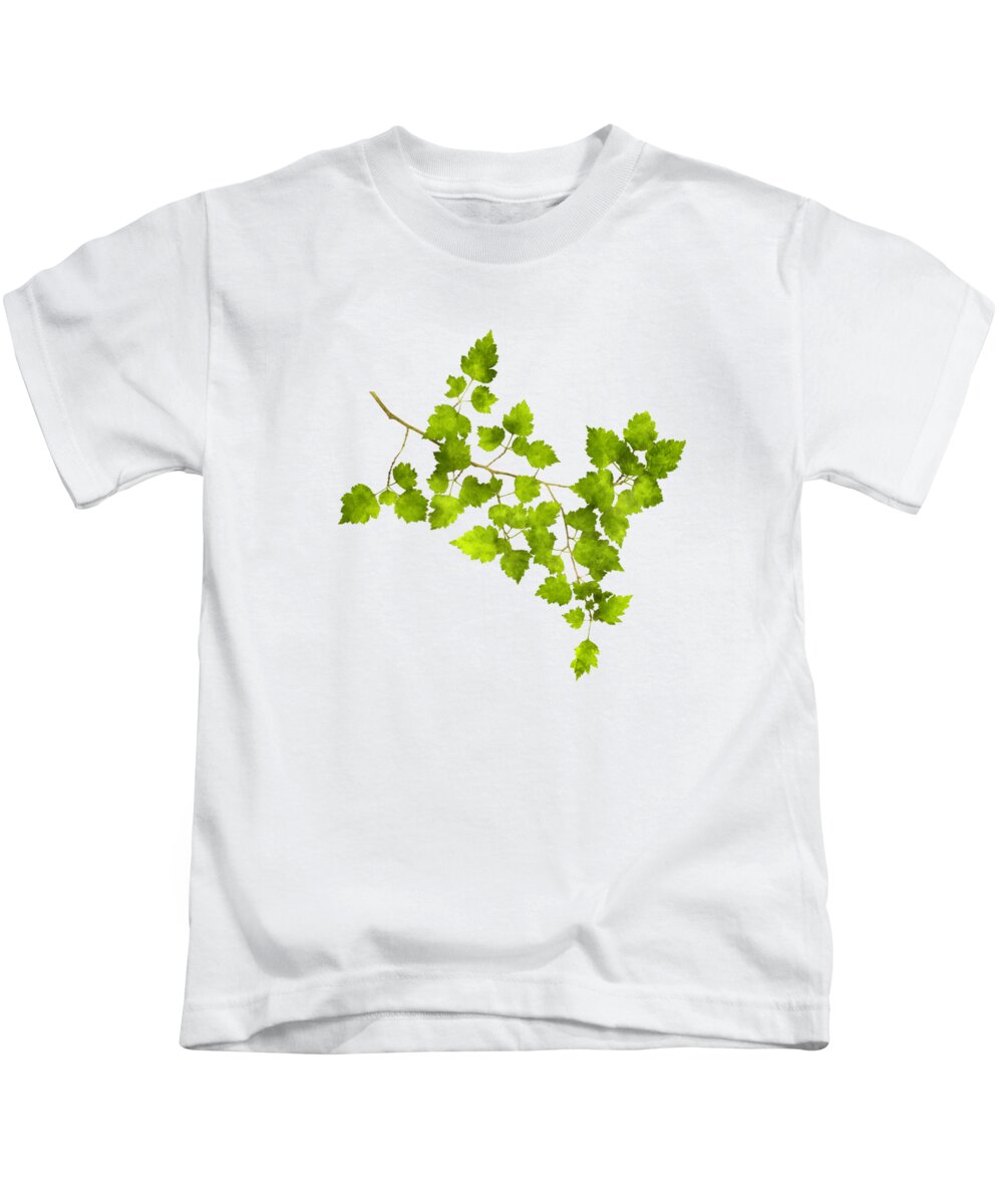 Leaves Kids T-Shirt featuring the mixed media Hawthorn Pressed Leaf Art by Christina Rollo