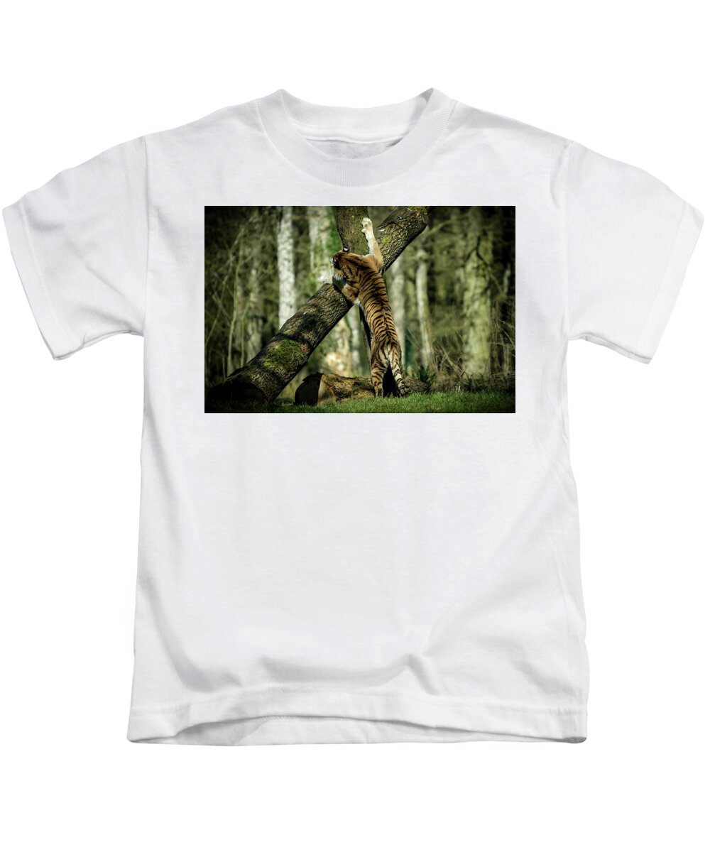 Tiger Kids T-Shirt featuring the photograph Hide and Seek by Chris Boulton
