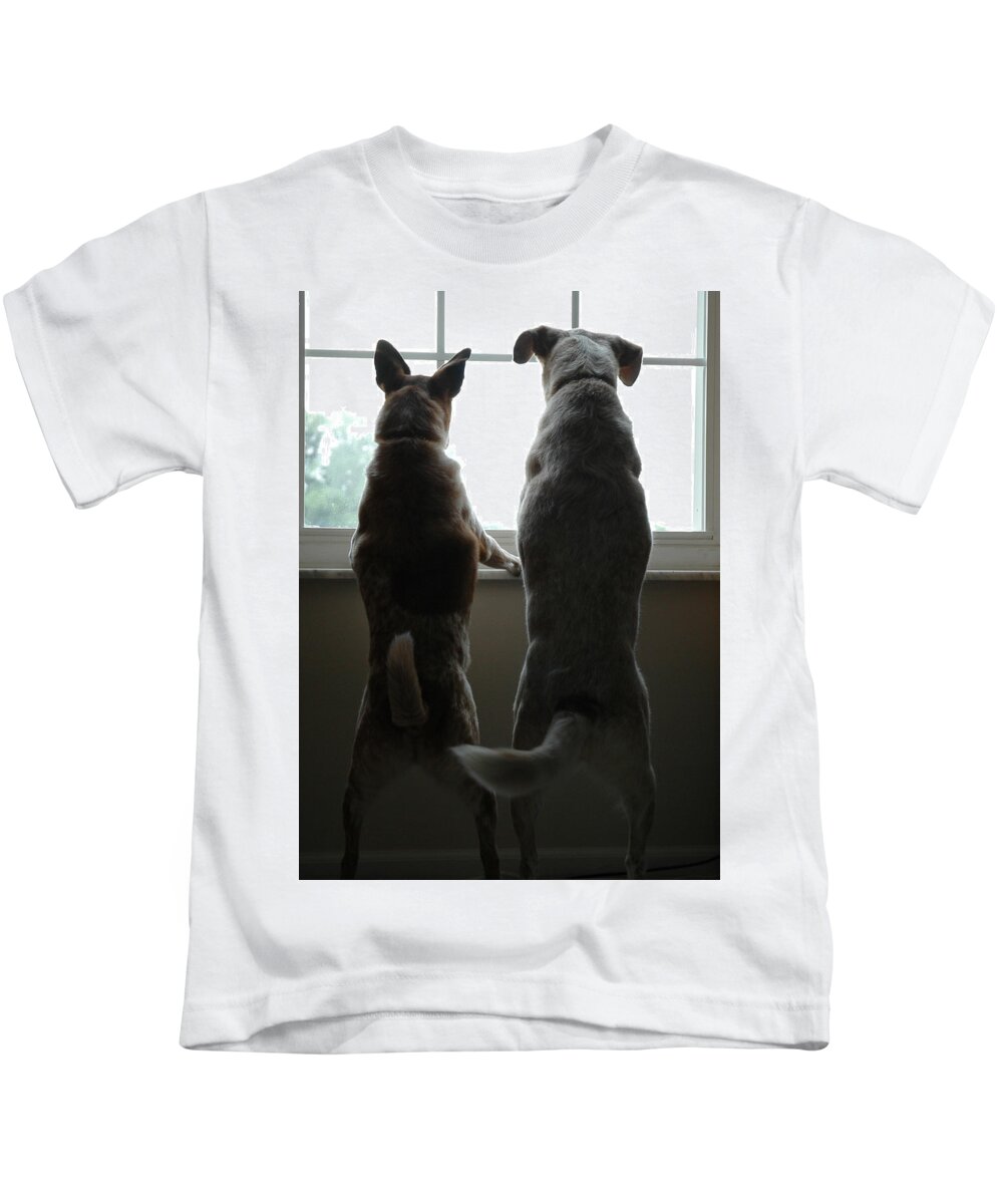 Dogs Kids T-Shirt featuring the photograph Hope You Get What You are Looking For by Roberta Kayne