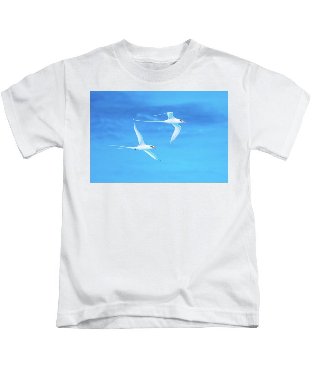 2018 Kids T-Shirt featuring the photograph Longtail Dream Team by Jeff at JSJ Photography