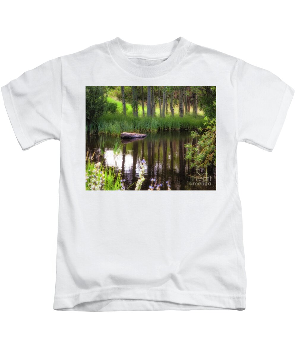 Meadow Kids T-Shirt featuring the photograph Meadow Pond by Anthony Michael Bonafede