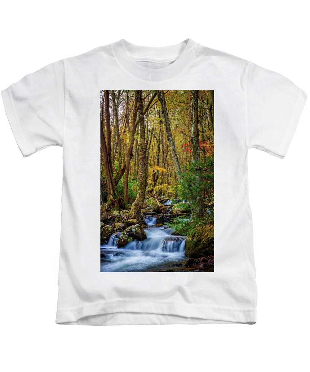 Landscape Kids T-Shirt featuring the photograph Mill Creek in Fall #1 by Joe Shrader