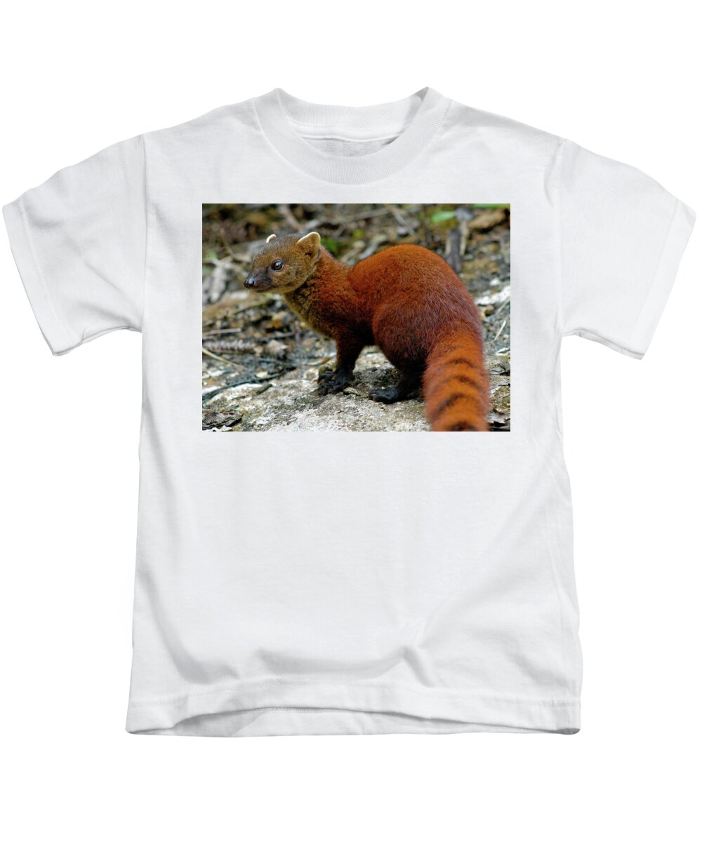Mongoose Kids T-Shirt featuring the digital art Mongoose by Super Lovely
