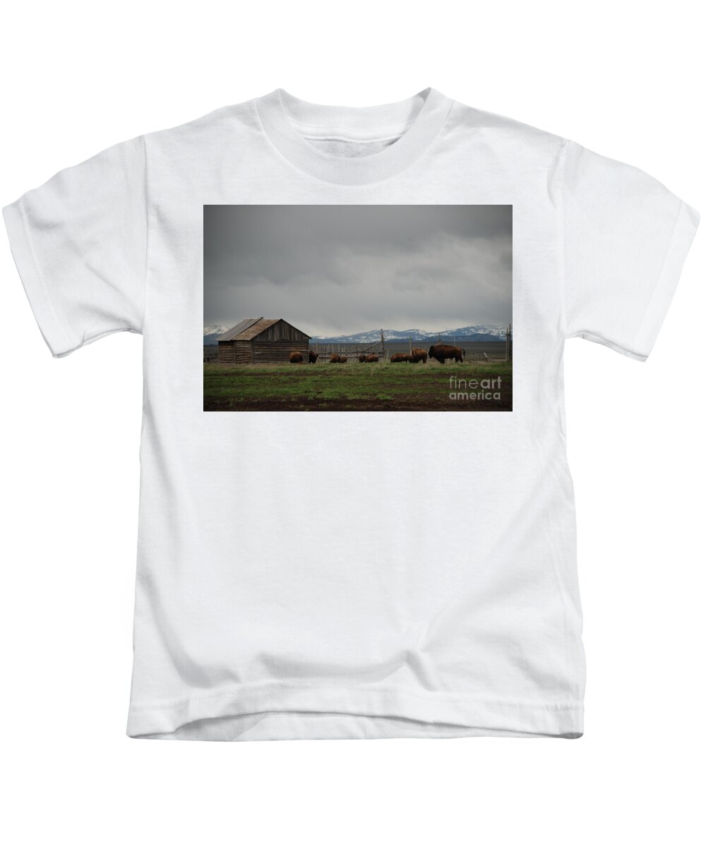 Buffalo Kids T-Shirt featuring the photograph Mormon Row Buffalo by Jim Goodman