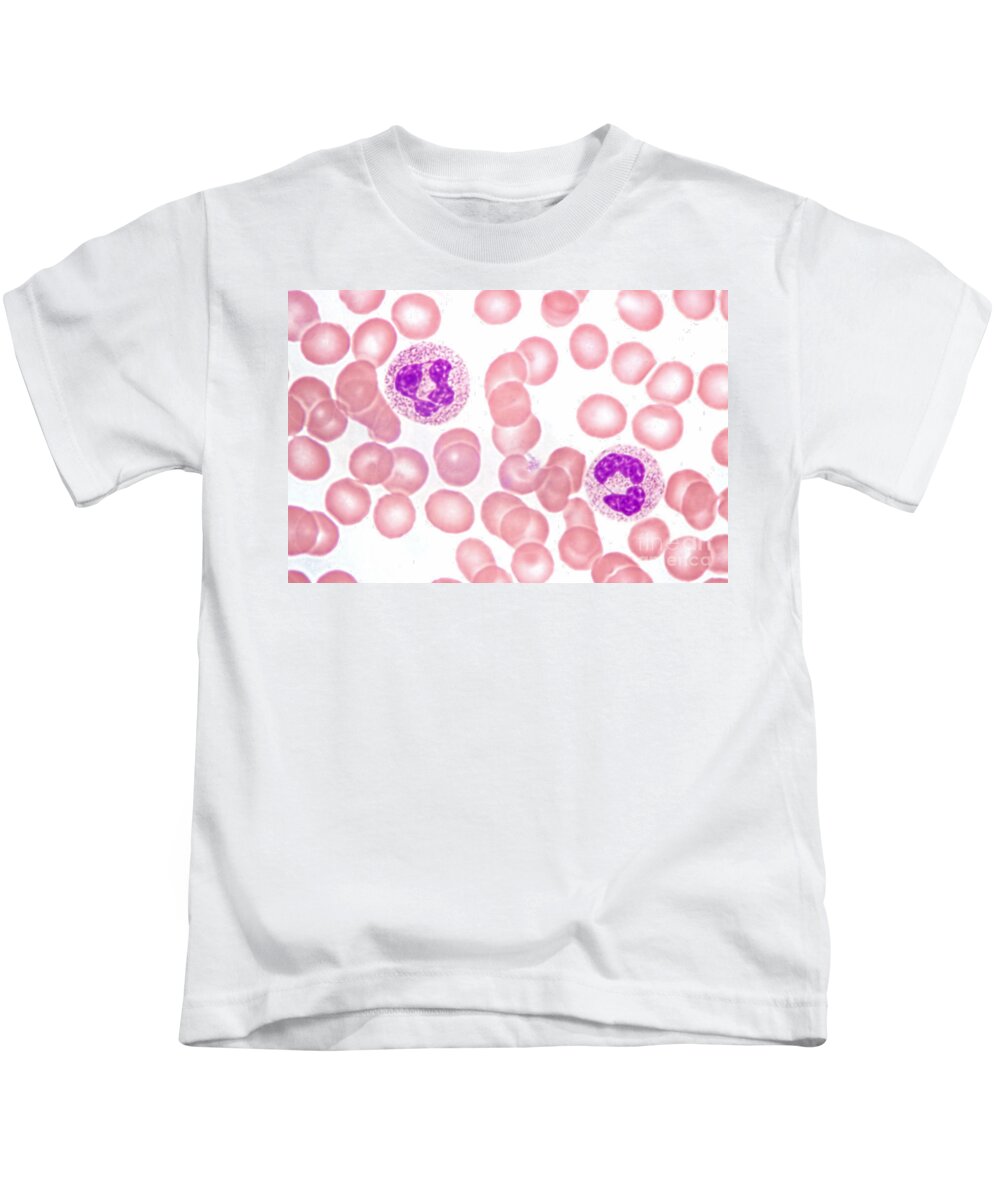 Neutrophil Polymorphs Kids T-Shirt featuring the photograph Neutrophils In Peripheral Blood Smear by M. I. Walker