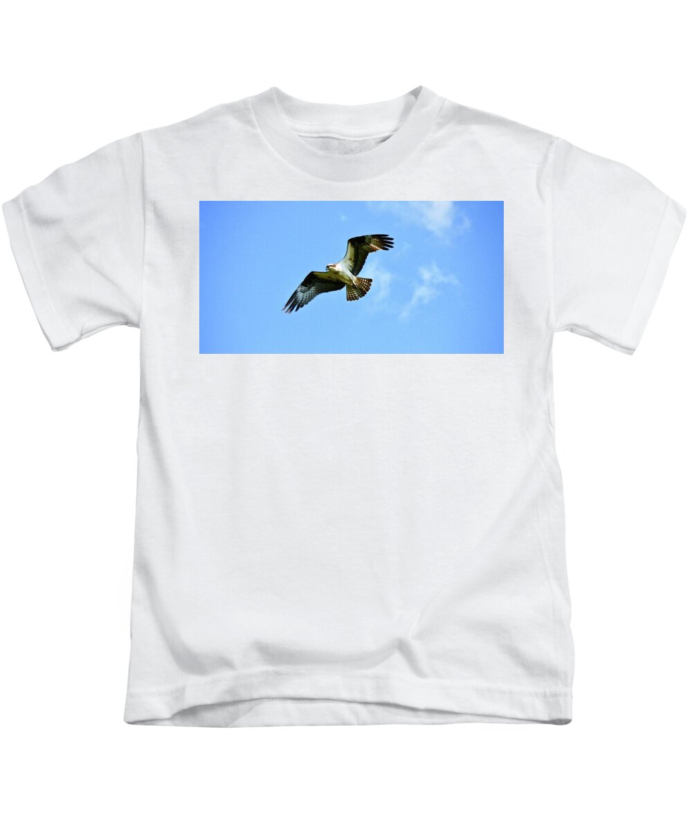 Osprey Kids T-Shirt featuring the photograph Osprey on my case by Shawn M Greener