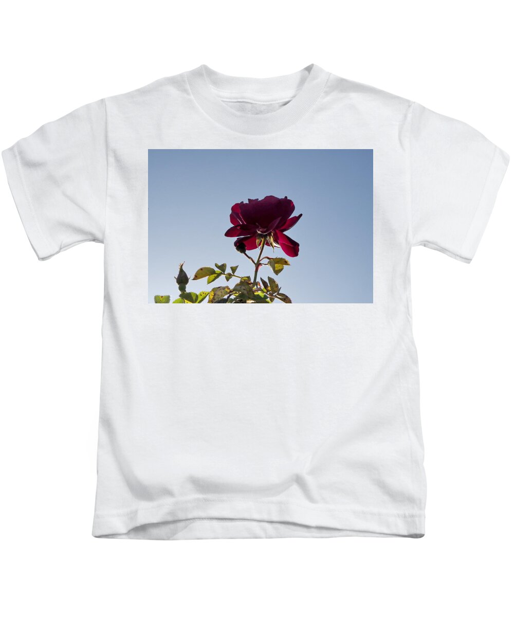 Botanical Kids T-Shirt featuring the photograph Red Rose Morning by Richard Thomas