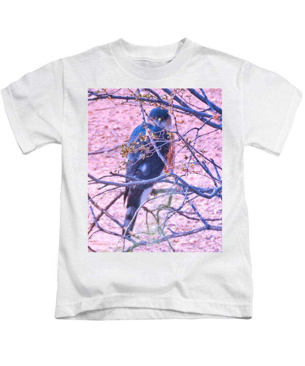 Accipiter Kids T-Shirt featuring the photograph Sharp-Shinned Hawk Hunting in the Desert 2 by Judy Kennedy