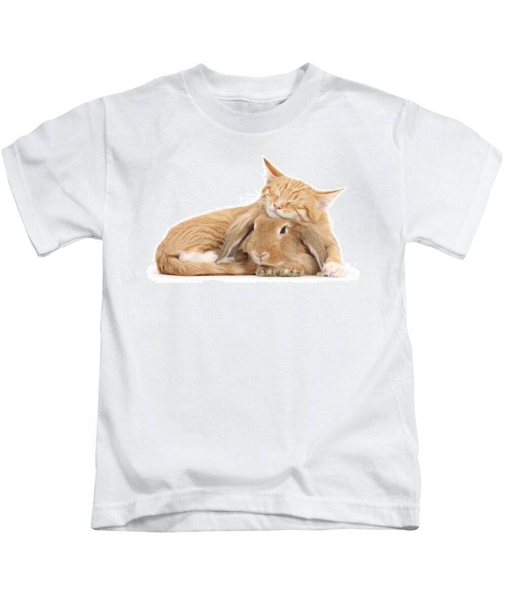 Sandy Lionhead Lop Kids T-Shirt featuring the photograph Sleeping on Bun by Warren Photographic