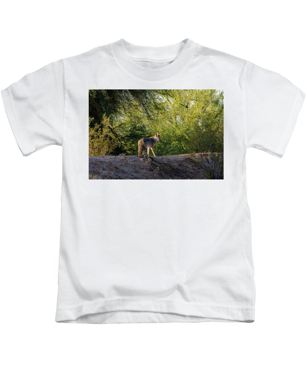 Sleepy Kids T-Shirt featuring the photograph Sleepy Coyote by Douglas Killourie