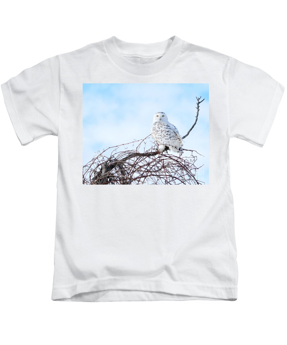 Snowy Owl Kids T-Shirt featuring the photograph Snow White by Heather King