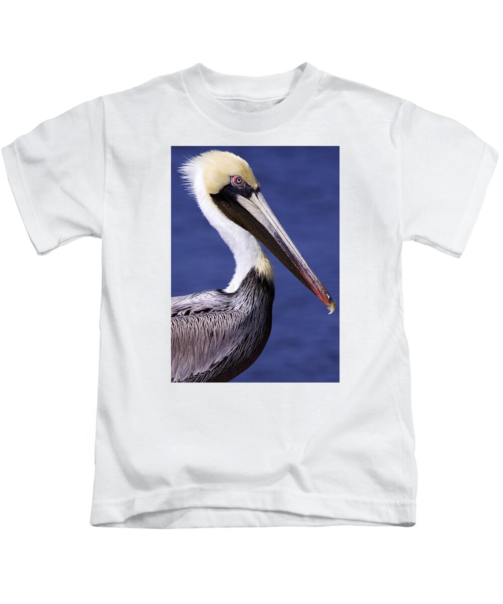 Southport Kids T-Shirt featuring the photograph Southport Pelican 2 by Nick Noble