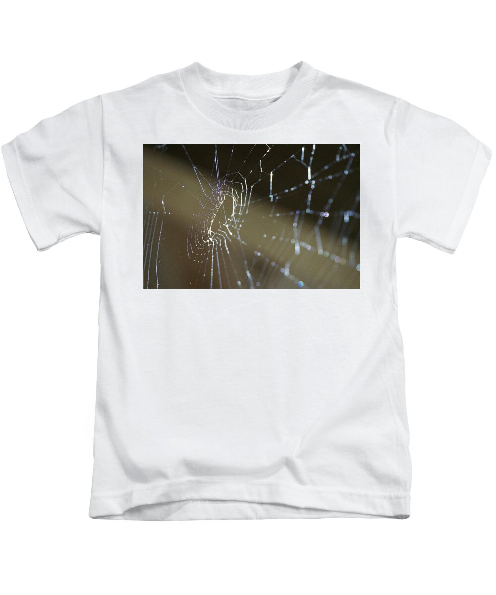 Spider Kids T-Shirt featuring the photograph Sun Catcher by Martin Naugher