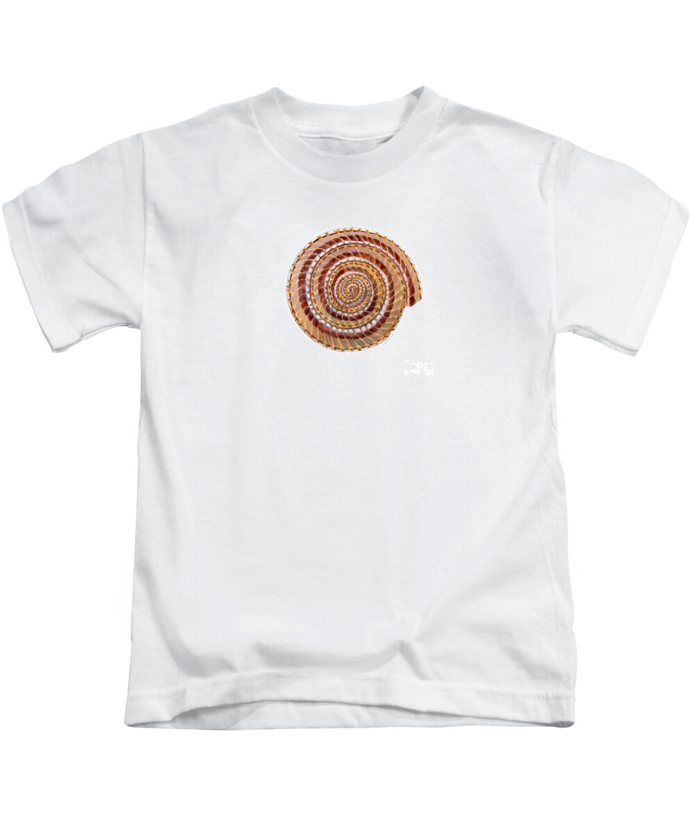 Shell Kids T-Shirt featuring the painting Sundial Shell by Amy Kirkpatrick
