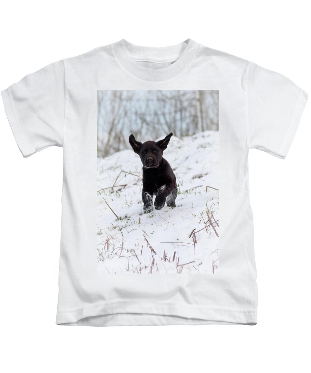 Pup Kids T-Shirt featuring the photograph Super Pup by Holden The Moment
