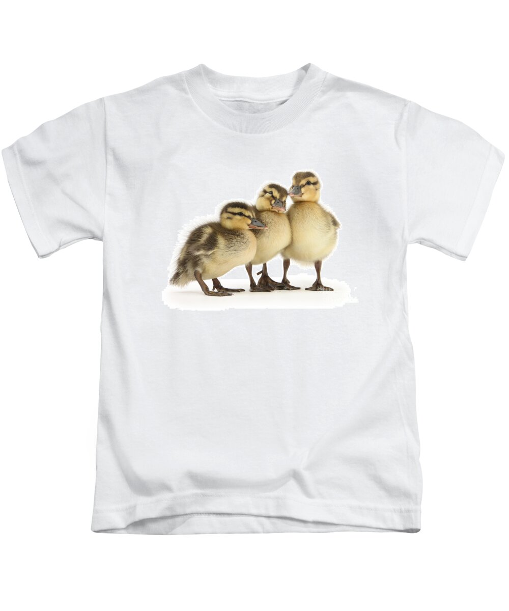 Three Mallard Kids T-Shirt featuring the photograph Three little ducklings by Warren Photographic