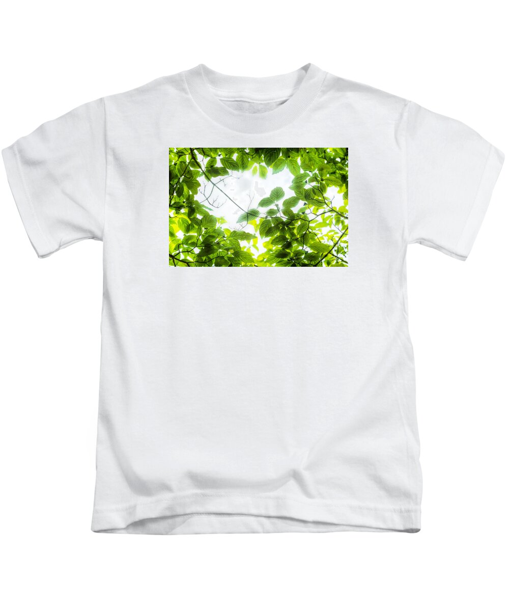 Leaves Kids T-Shirt featuring the photograph Through the leaves by David Coblitz