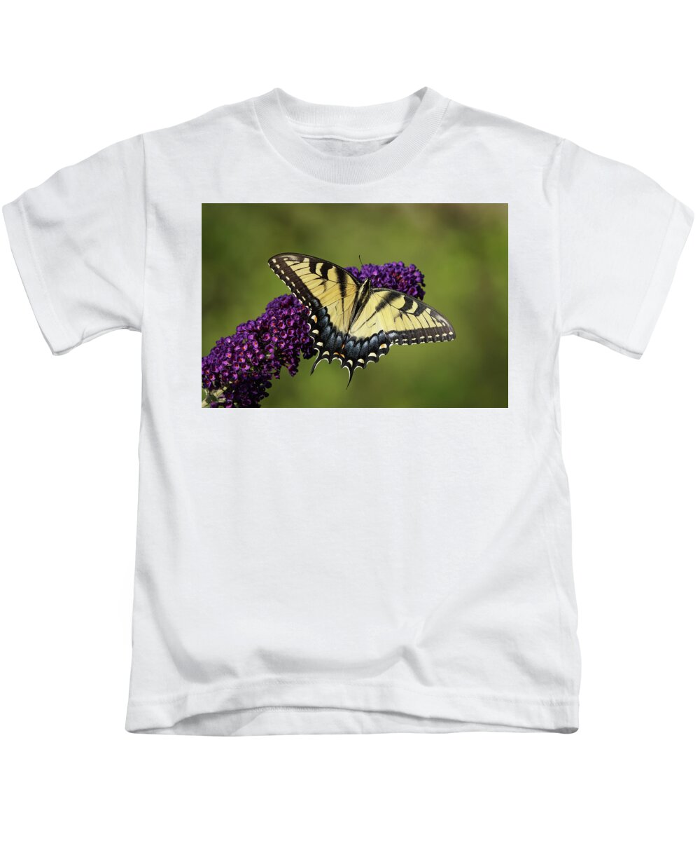 20160722-a77m2-01265.png Kids T-Shirt featuring the photograph Tiger Swallowtail Butterfly 01265 by Robert E Alter Reflections of Infinity