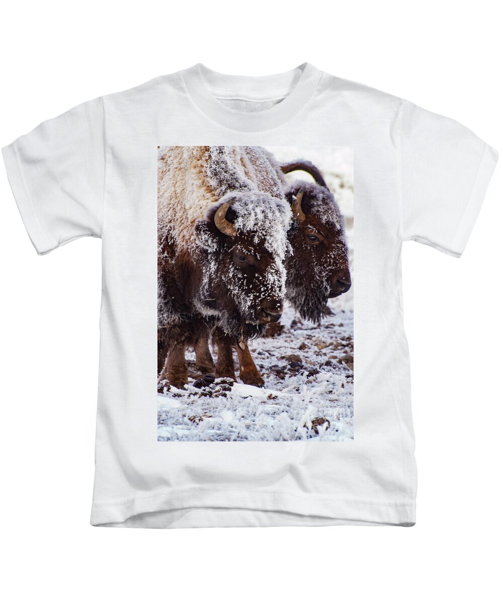 Yellowstone National Park Kids T-Shirt featuring the photograph Twins by Bob Phillips