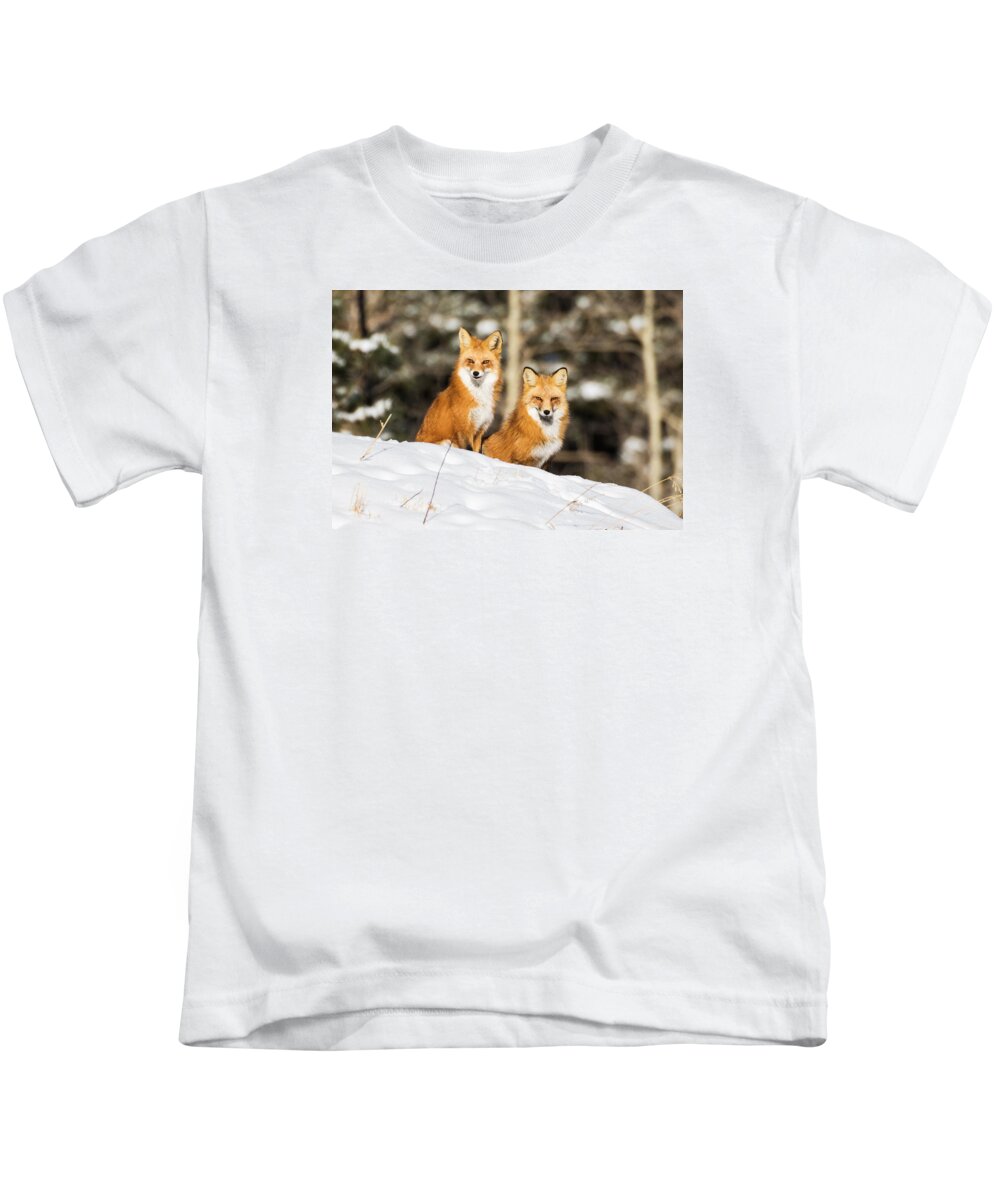 Red Fox Kids T-Shirt featuring the photograph Two Fox in Winter #2 by Mindy Musick King