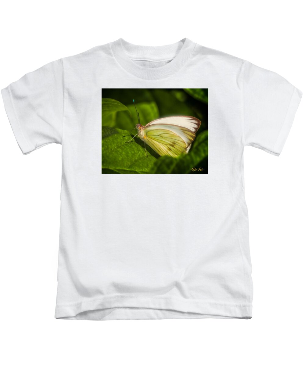 Animals Kids T-Shirt featuring the photograph White Butterfly Sunning by Rikk Flohr