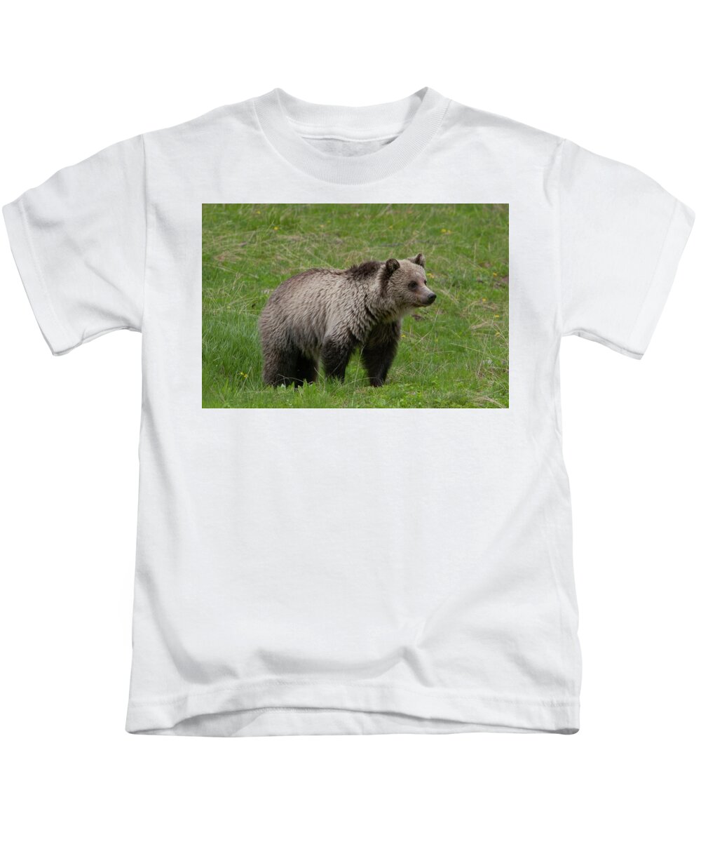 Grizzly Kids T-Shirt featuring the photograph Young Grizzly by Mark Miller
