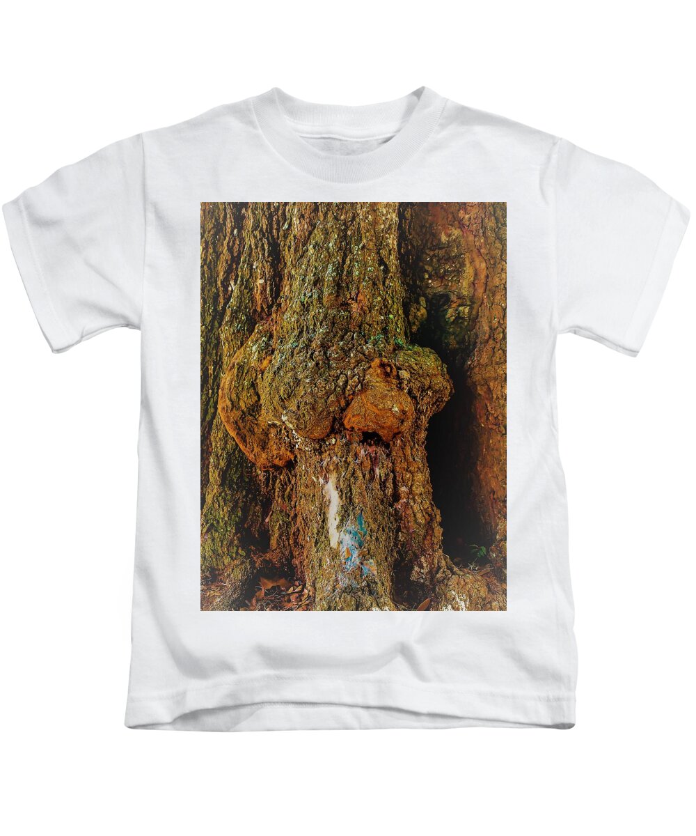 Z Z Kids T-Shirt featuring the photograph Z Z In A Tree by Randy Sylvia