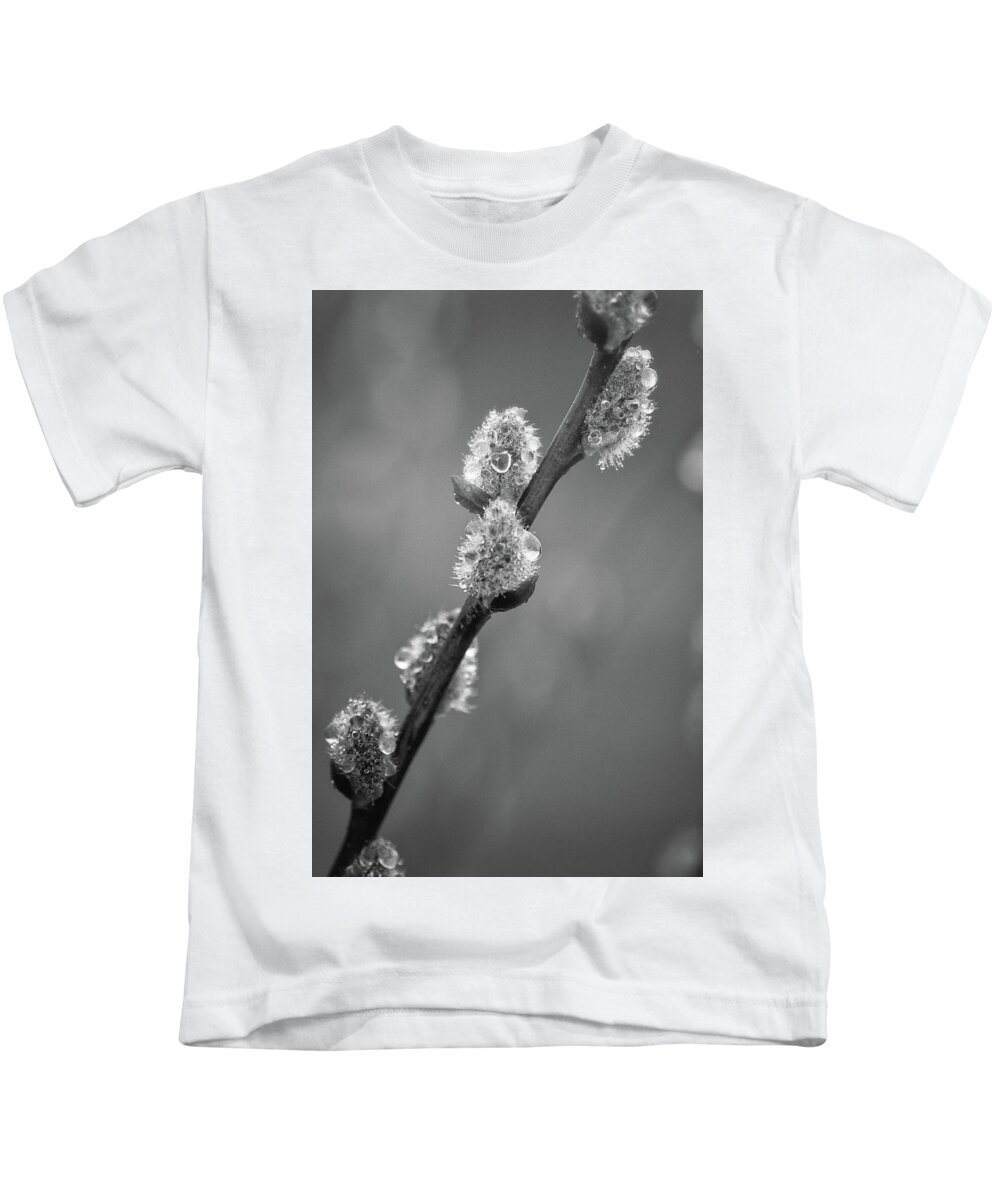 Pussywillow Kids T-Shirt featuring the photograph Catkin Teardrops by Sue Capuano