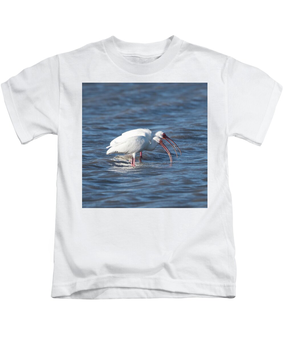 Ibis Kids T-Shirt featuring the photograph Crabbing Buddies by Patrick Nowotny