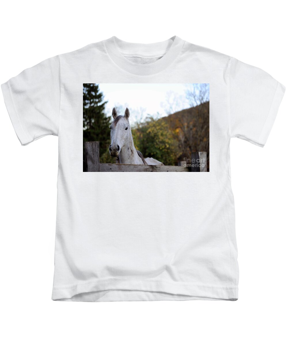 Rosemary Farm Sanctuary Kids T-Shirt featuring the photograph Greta by Carien Schippers