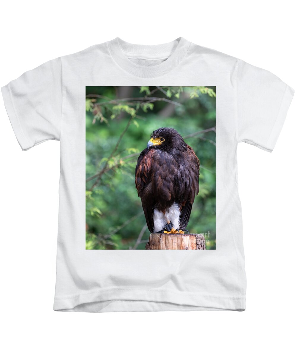 Photography Kids T-Shirt featuring the photograph Harris's Hawk by Alma Danison