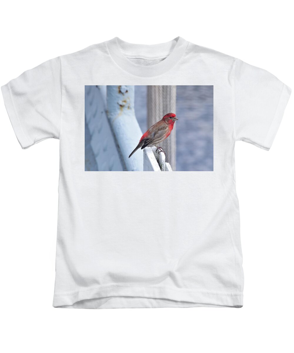Finch Kids T-Shirt featuring the photograph House Finch on the U.S.S. Wisconsin by Nicole Lloyd