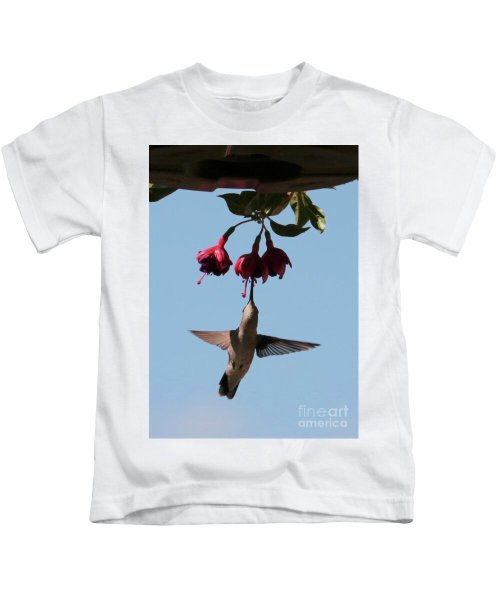 Fuchsia Kids T-Shirt featuring the photograph Hummingbird in the Fuchsia by Carol Groenen