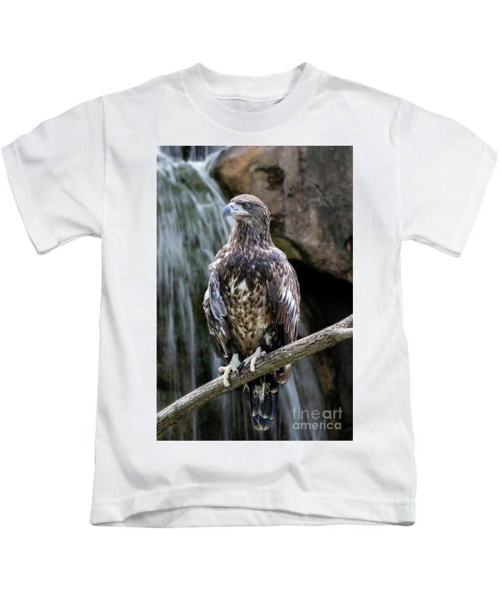 Fish Kids T-Shirt featuring the photograph Juvenile Bald Eagle by Ed Taylor