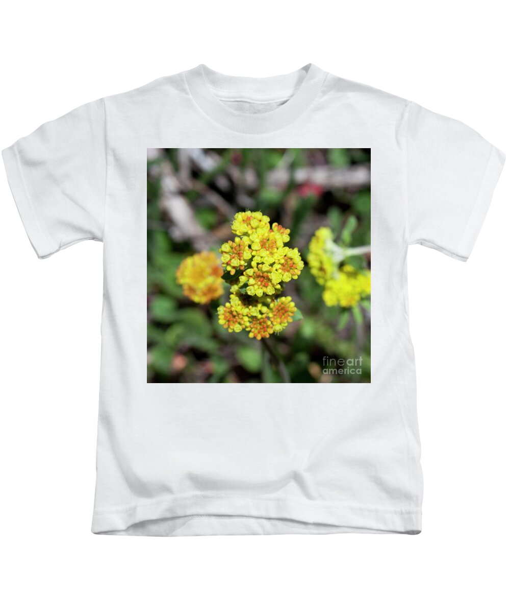 Grand Mesa Kids T-Shirt featuring the photograph Kannah Creek Sulfur Flower by Julia McHugh
