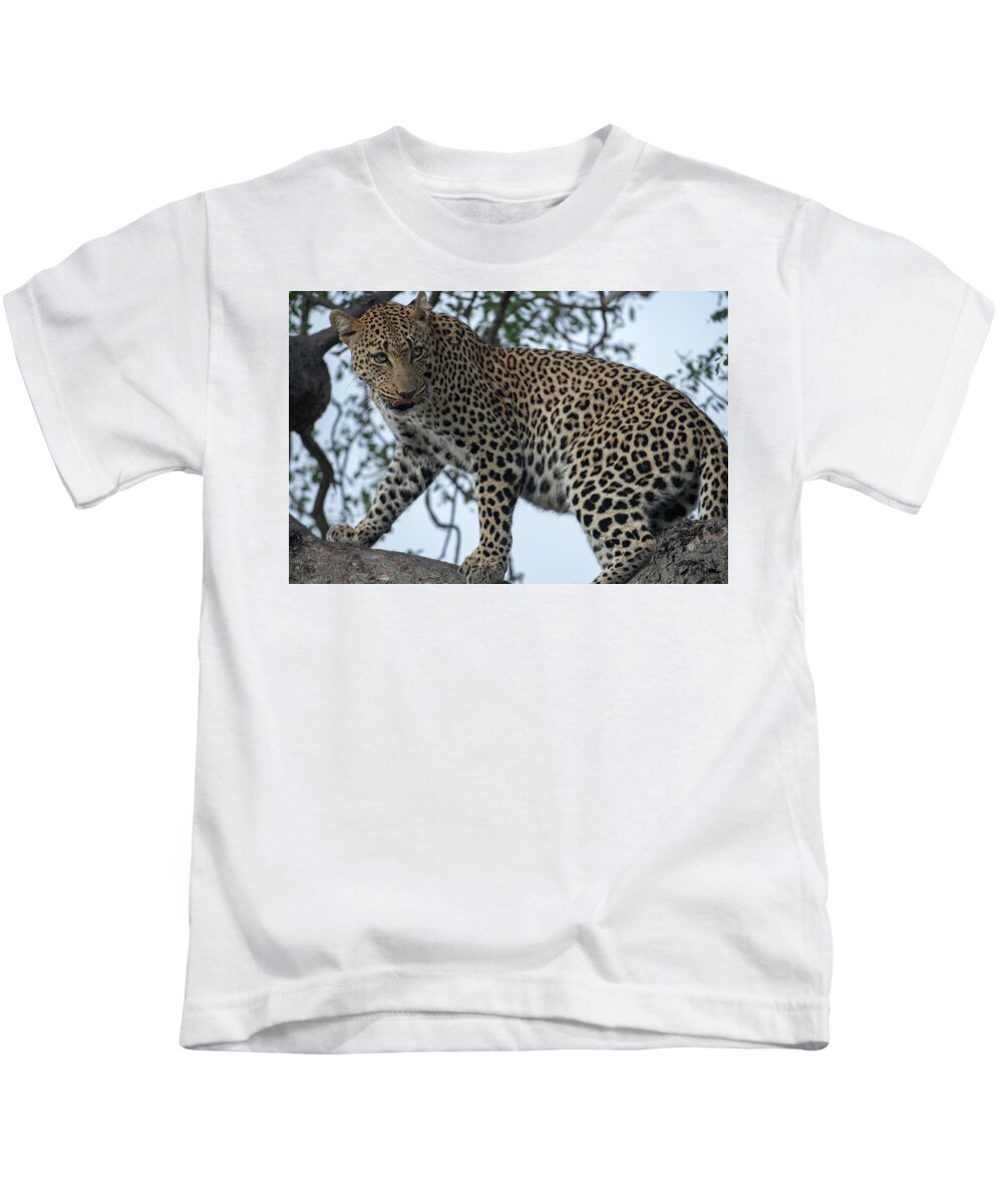 Leopard Kids T-Shirt featuring the photograph Leopard Anticipation by Mark Hunter