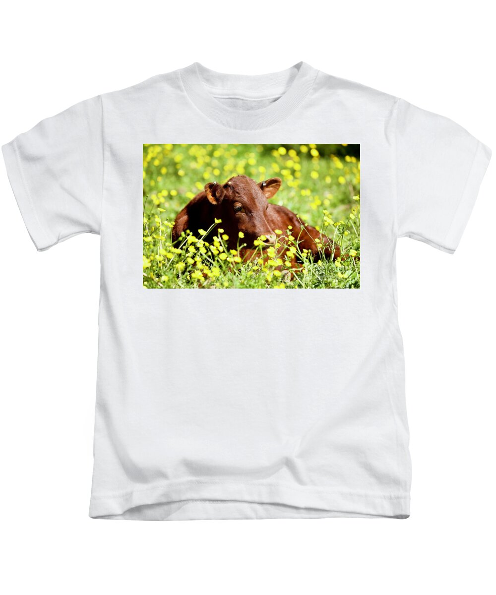 Calf Kids T-Shirt featuring the photograph Little Calf in the Buttercups by Lara Morrison