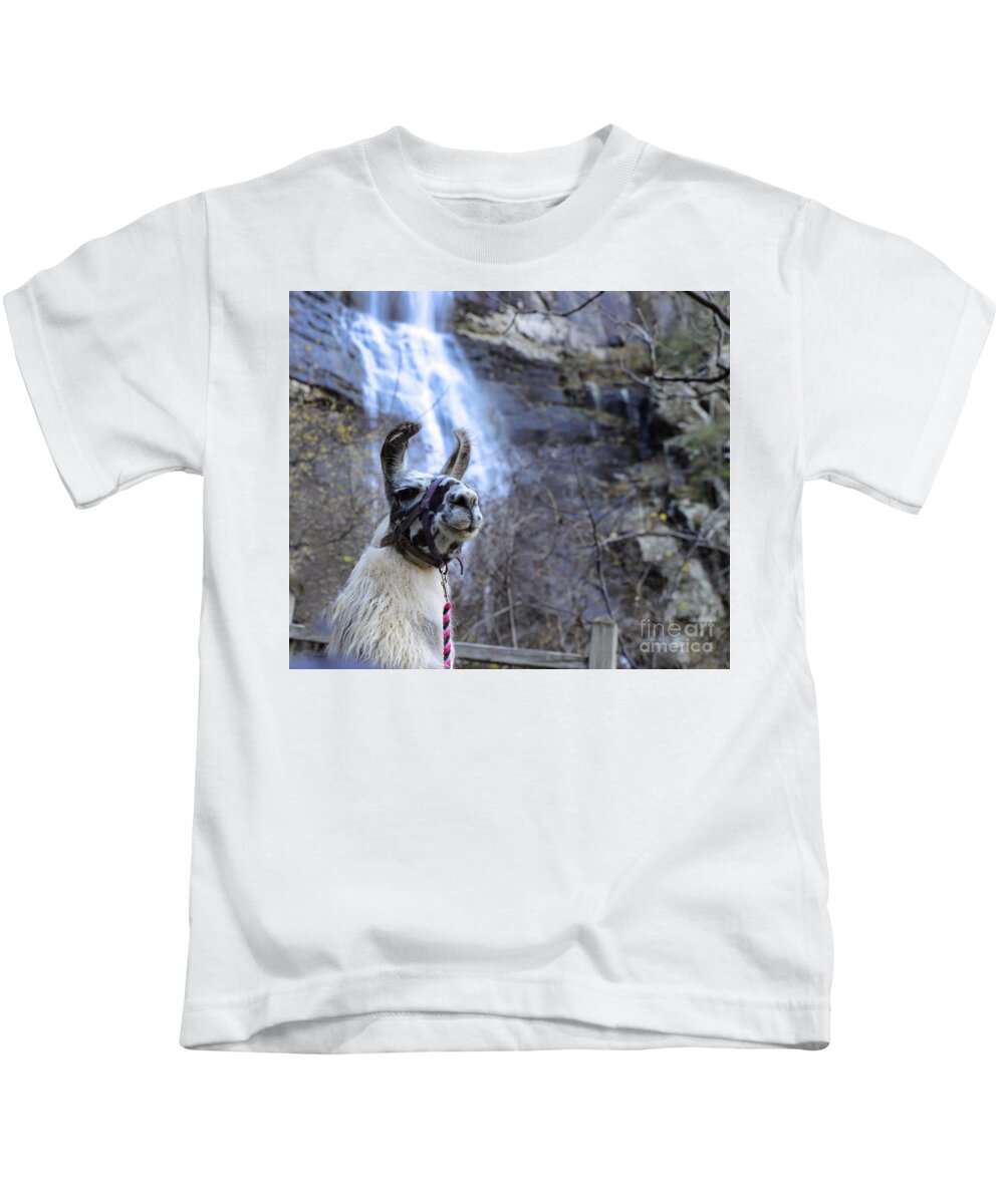Llama Kids T-Shirt featuring the photograph Llama Waterfall by Buddy Morrison