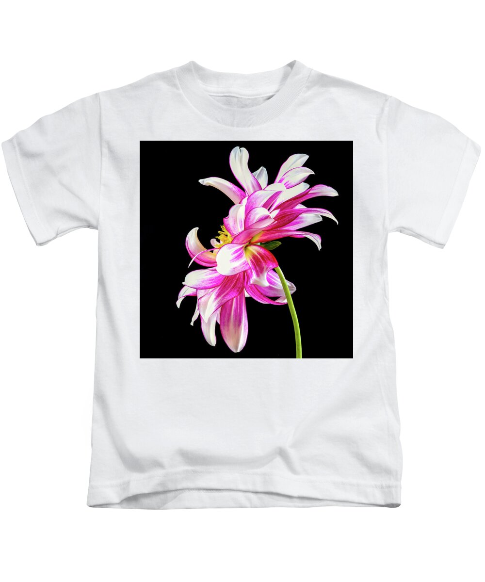 Color Kids T-Shirt featuring the photograph Pink Dahlia Profile by Jean Noren